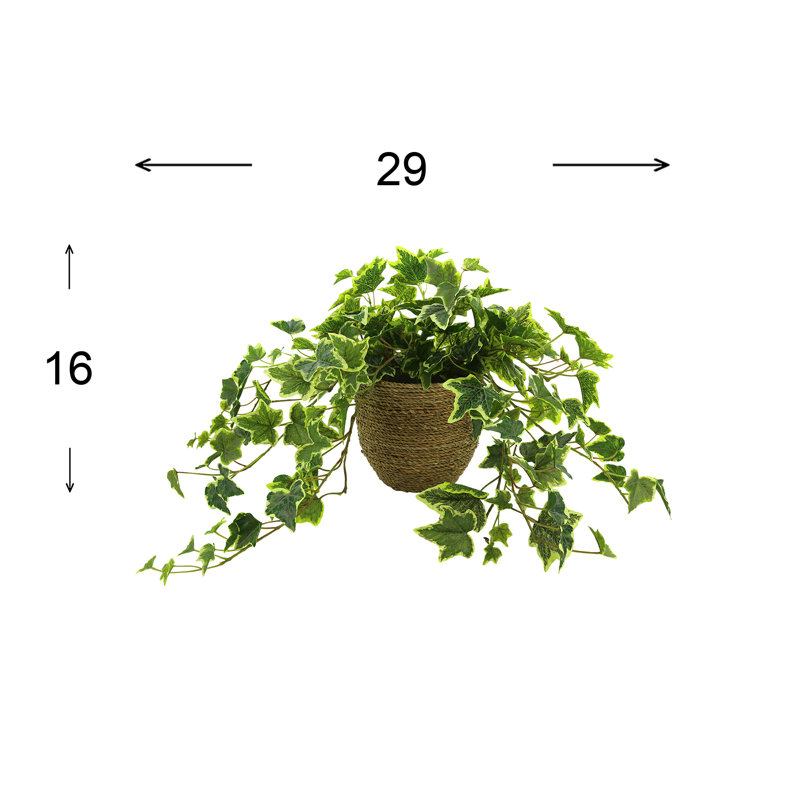 Nunn Faux Ivy Plant in Pot, Green/White, 16" H x 29" W x 23" D