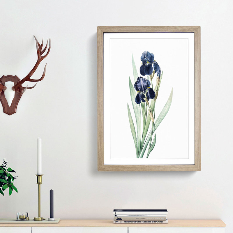 German Iris Flowers by Pierre-Joseph Redoute - Picture Frame Painting Print, 36cm H x 27cm W x 2cm D, Oak Framed