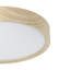 Maio Plastic LED Flush Mount