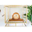 Scottsville Clock-38164013