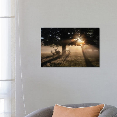 Summertime Dawn Under Chestnut by Max Ellis - Wrapped Canvas Print