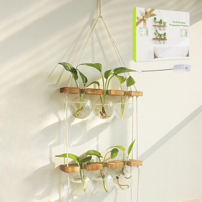 Terrarium mural suspendu avec support en bois