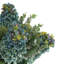 Traditional Thistle Hydrangea and Lilac Arrangement in Glass Vase with Rope Accent-83630999