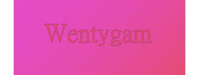 Wentygam Logo