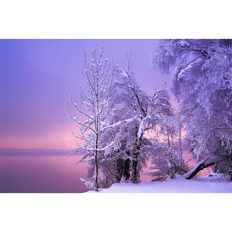 Wrapped Canvas Print, 60.96 cm H x 91.44 cm W