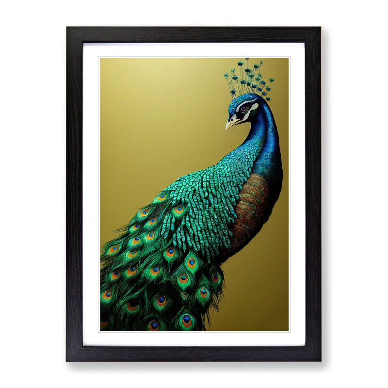 XV1022-4976X View Of A Peacock No.3 - Print, White, 36cm H x 27cm W, Black Framed