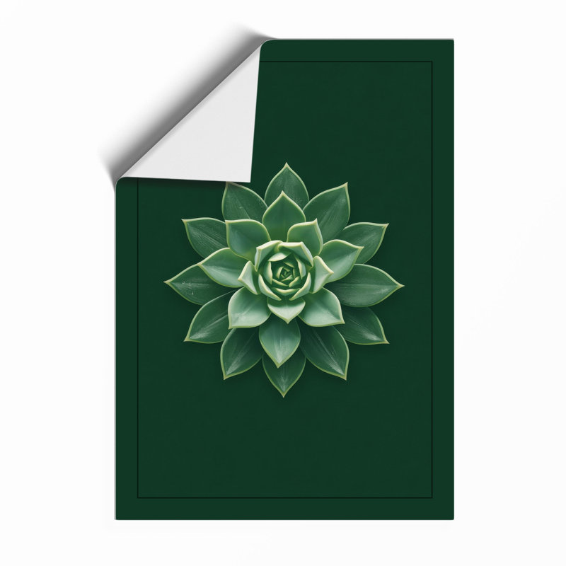 Geometric Succulent Botanical - Print, Unframed, A3 - 42.0 x 29.7 cm