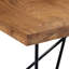 Ancheta Mango Rectangular Wood Top Dining Table-1576631949