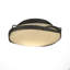 Flora 2 - Light 13.9" Flush Mount-2123881253