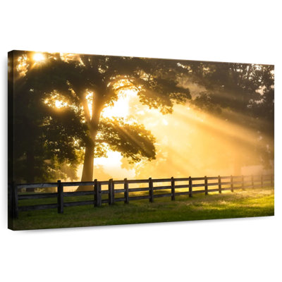 Alvord Break Of Dawn
