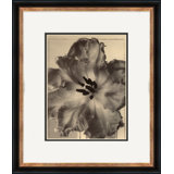 Sepia Flowers 16 Giclee Print by Soicher Marin Archives