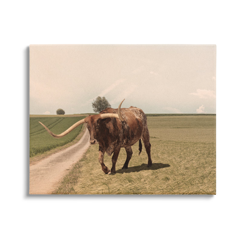 Longhorn, bovins, pâturages, paysage champêtre, photographie sur toile tendue, H 16 po x l 20 po x P 1,5 po, Toile tendue