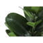 Plante en fausse toile de polyéthylène 28 po Mcgee