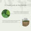 Faux Tree in Wicker/Rattan Basket-732326420