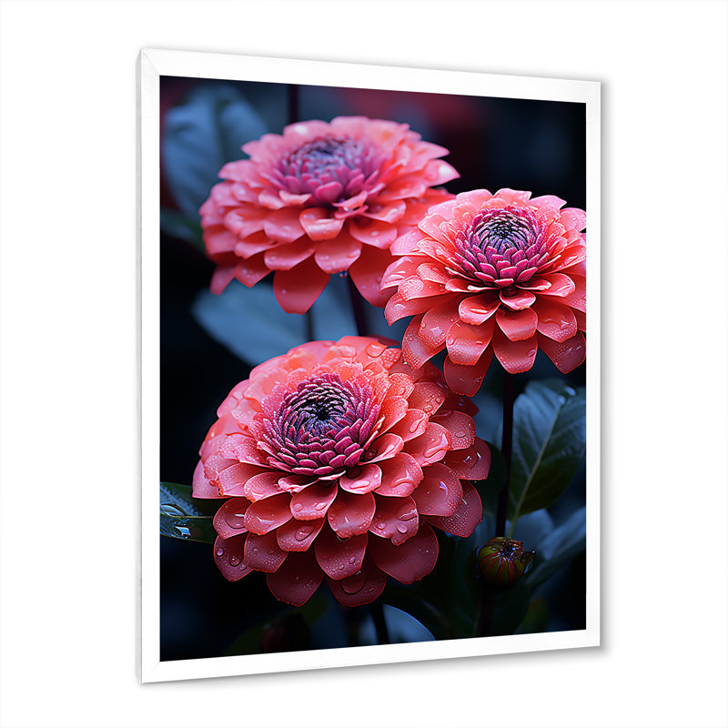 Zinnias Neon Pink Garden sur toile, Cadre simple blanc, H 32 po x l 16 po x P 1 po