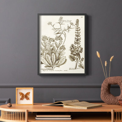 «Sepia Botanical Journal IV», reproduction encadrée - bois massif