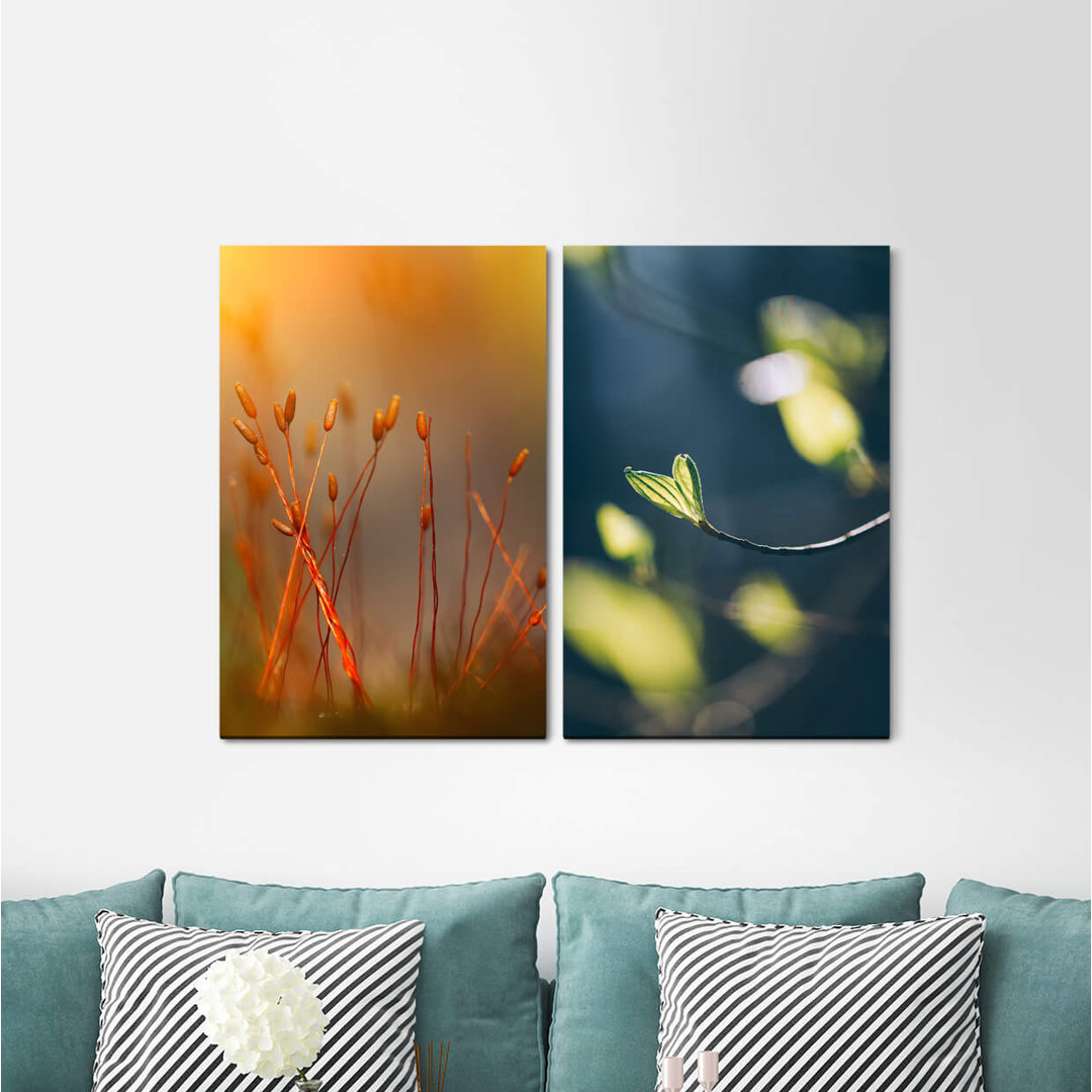 2-tlg. Leinwandbilder-Set - Fotografie „Spring Plants Young Leaf Nature Soft Soft”