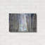«Mystery Of Trees II» par Sharon Pitts-331669244