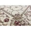Hand-Knotted High-Quality Ivory Area Rug