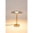 Metal Novelty Lamp