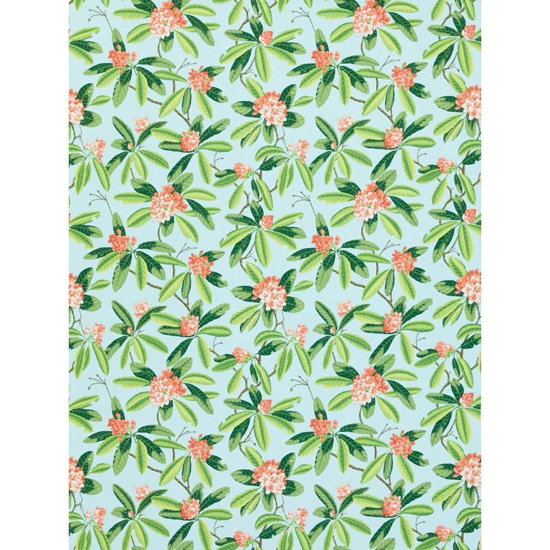 RHODODENDRON - OUTDOOR, Coral On Aqua