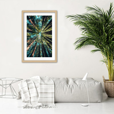 The Branches Of The Tall Trees - Single Picture Frame Print