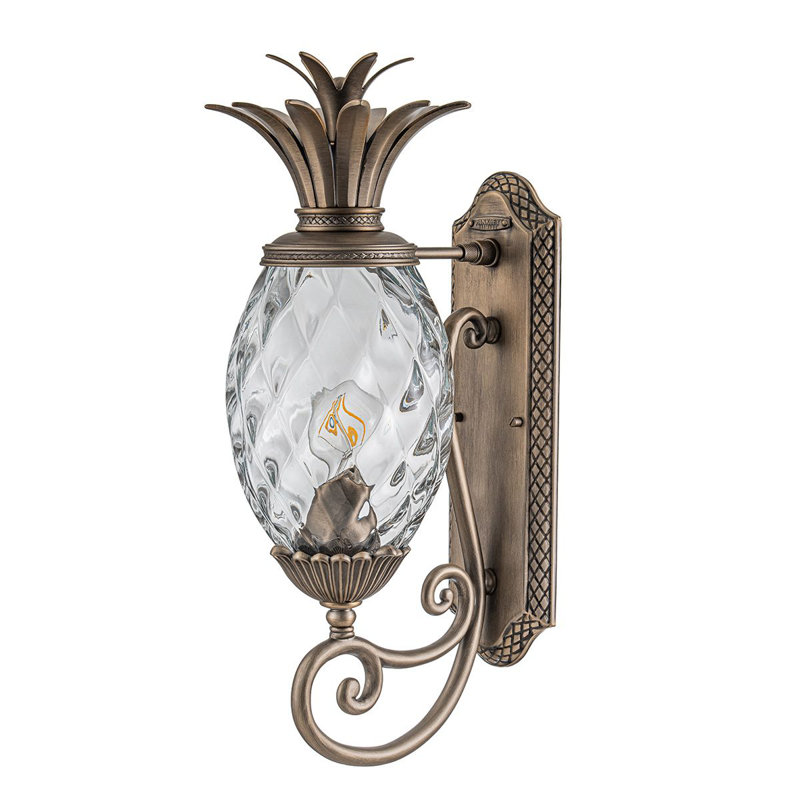 Alahya 54.1cm H Outdoor Wall Lantern, Burnished Bronze
