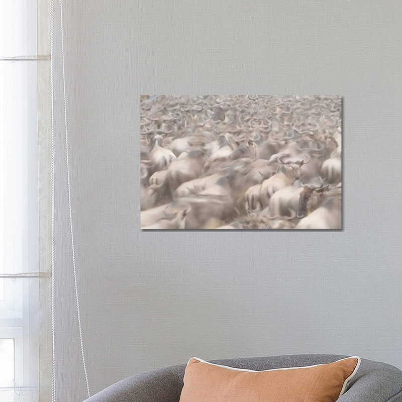 Africa, Kenya by Jaynes Gallery - Wrapped Canvas Gallery-Wrapped Canvas Giclée, 45.72cm H x 66.04cm W x 1.905cm D