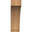 Attelle impériale du genou-29309856-31229347-31229279