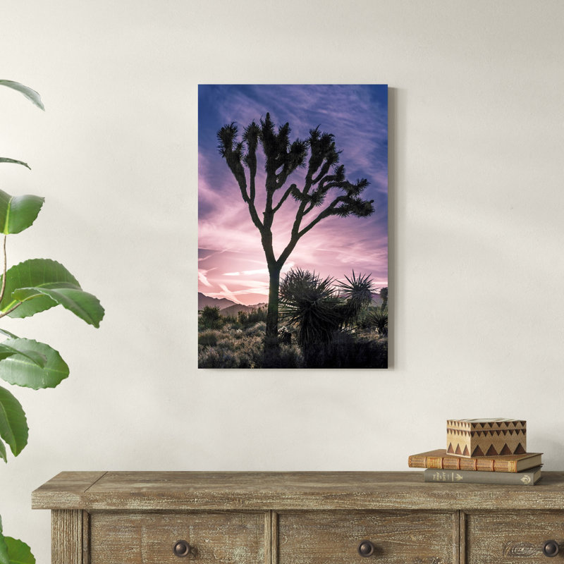 Vue de Joshua Tree VII, H 30 po x l 20 po x P 1,25 po