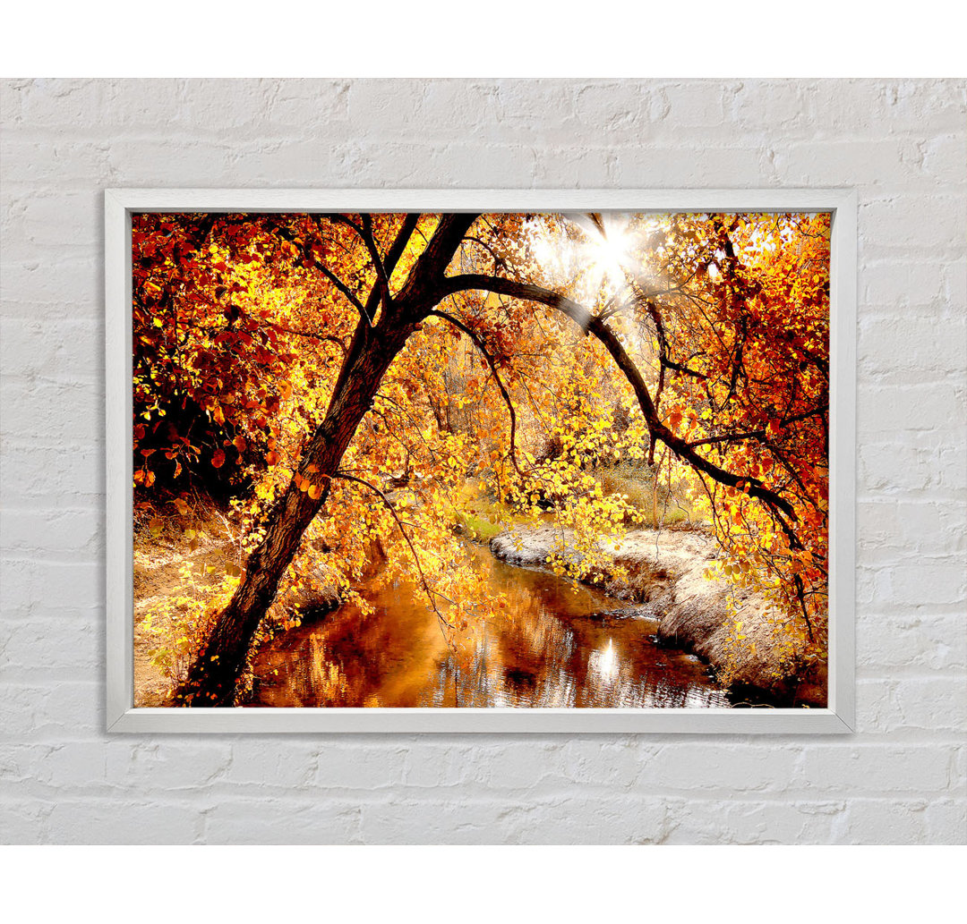 Creek In The Autumn Forest - Einzelbildrahmen Kunstdrucke auf Leinwand