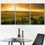 Décoration murale moderne «a Beautiful Sun Over a Barossa Vineyard»-102297856-102297855