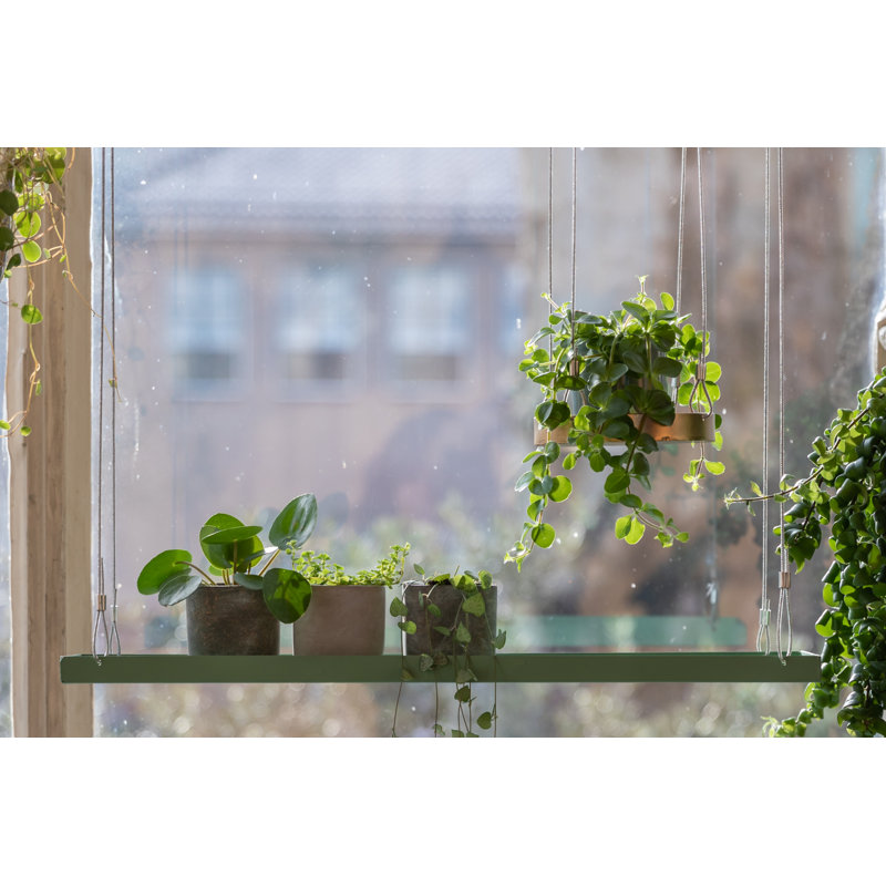 Plant Tray Hanging Rect, Green, 2.1cm H x 58cm W x 15cm D