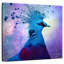 Brampt bel oiseau-109209211