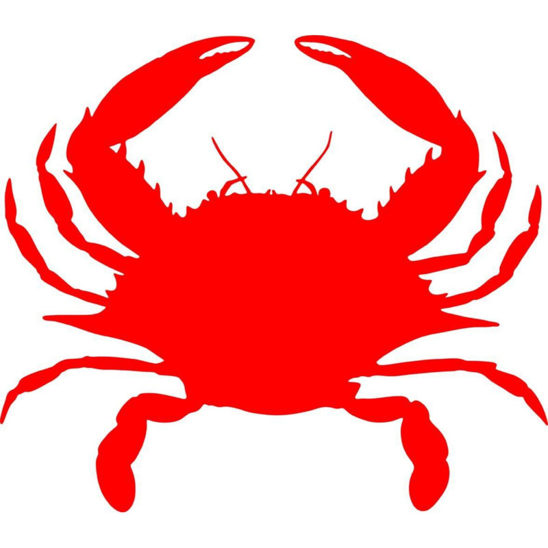 Nautical & Beach Non-Wall Damaging Wall Decal