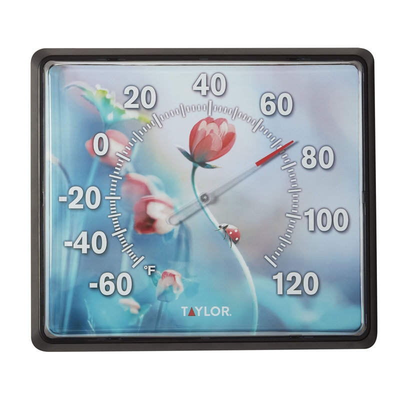 Taylor 12"x14" Ladybug Dial Thermometer