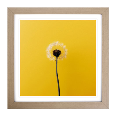 Dandelion Minimalism - Framed Print