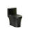 1.1/1.60 Gpf Dual-Flush One Piece Toilet, Button On Tank Top S-Trap, Water-Saving Elongated Comfort Height Floor Mounted, Soft Closing Seat,1000 Gram Map Flushing Score Toilet-113461313