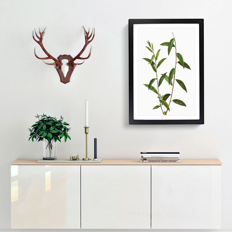 Golden Willow Tree Branch by Pierre-Joseph Redoute - Framed Print, 48cm H x 36cm W x 2cm D, Black Framed