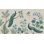 Papier peint paon, oiseaux botaniques