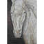 Tapis lavable à la machine de qualité supérieure Mayfield AMF2080-1974322594-1974322595