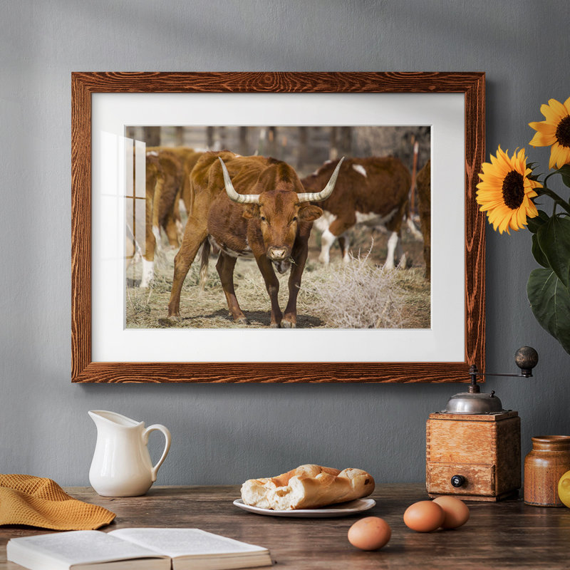Longhorns, Érable, H 22 po x l 32 po x P 1,5 po