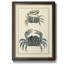 Antique Blue Crabs II - peinture sur toile encadrée-1575595104
