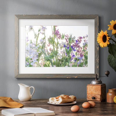 " Fields Of Spring "