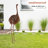 Medon Peaking Ostrich Statue-1464216864