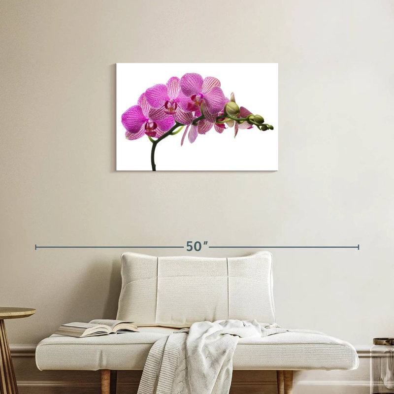 Harnek Fresh Orchid Flowers