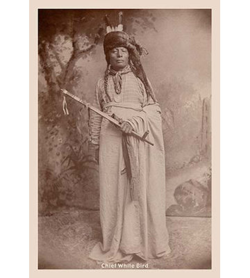 Chief White Bird Photographic Print