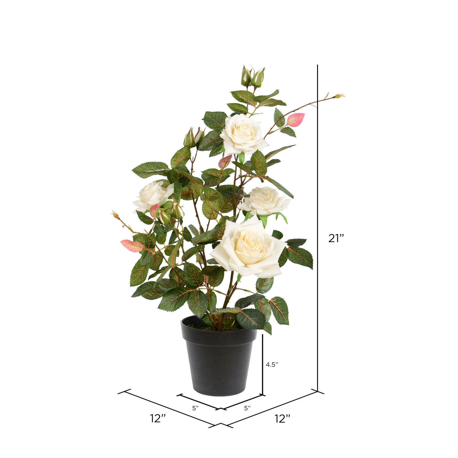 21" Rose Plant in Pot, White