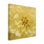 « wall fleur ii », photographie sur toile tendue-859270735