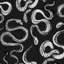 Papier peint serpent noir et blanc-254138874